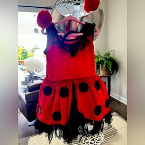 Halloween ladybug dress